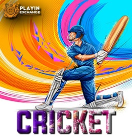fantacy cricket game